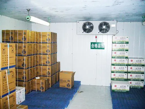 低溫保鮮冷庫建設