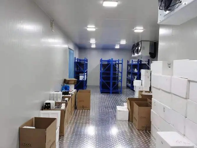 <b>保鮮冷庫安裝廠家必備設備清單獨特視野全流程</b>